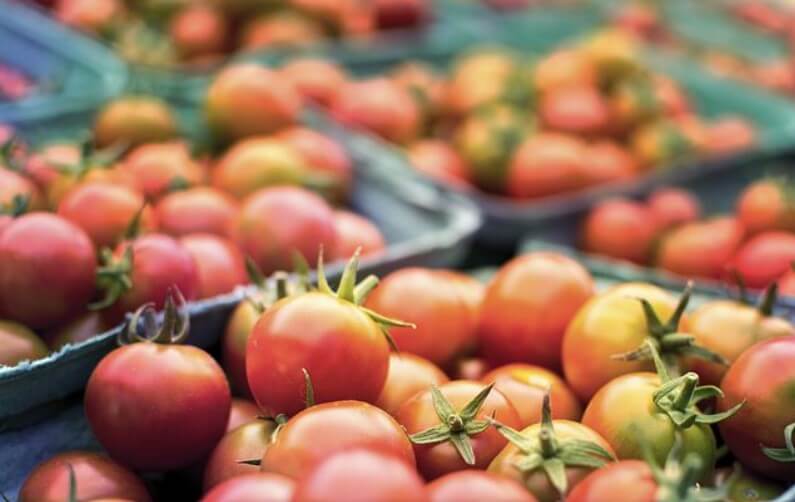 성공적인다이어트를위한10가지식이요법