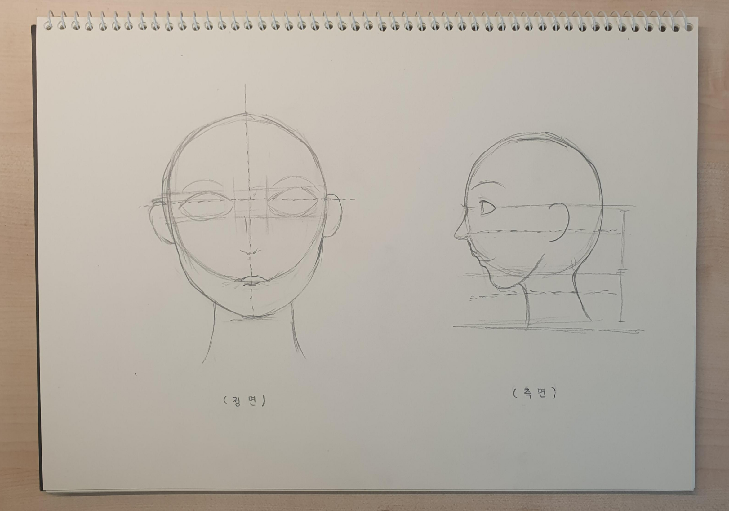 얼굴-정면-측면-그린-그림