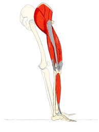 허벅지 통증 원인