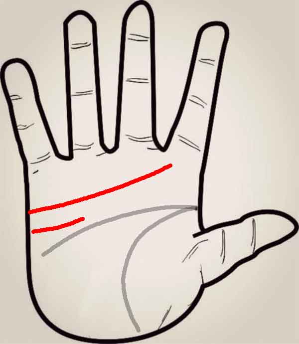 감정선 2개인 손금