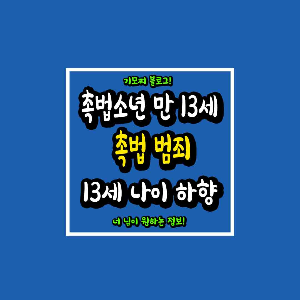 촉법소년 만 13세 하향 조정