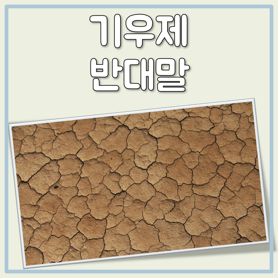 기우제 반대말 대표 이미지