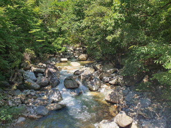 해인사 가는길 계곡