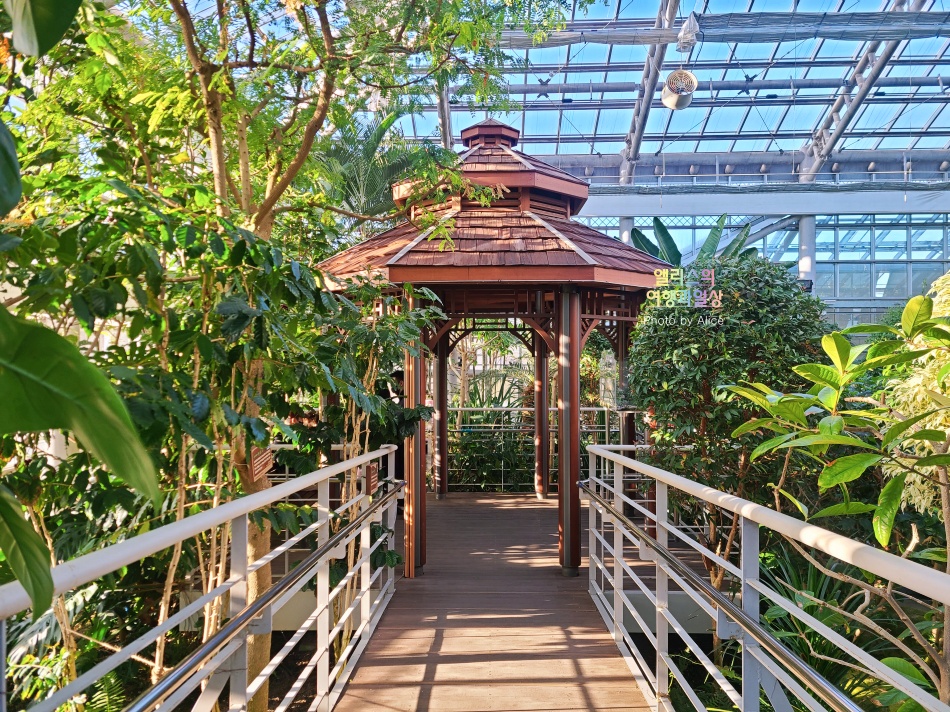 경주 동궁원 식물원 스카이워크 경주 가볼만한곳