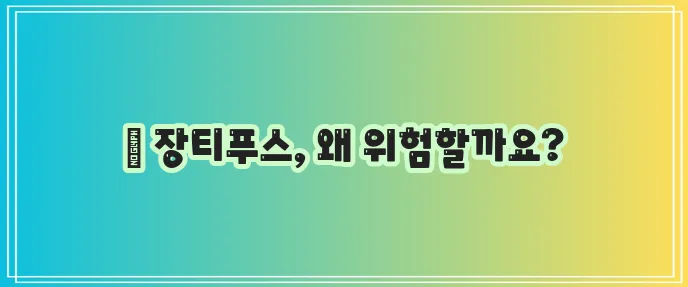 장티푸스 원인 증상 검사 치료 핵심 정리해야 합니다