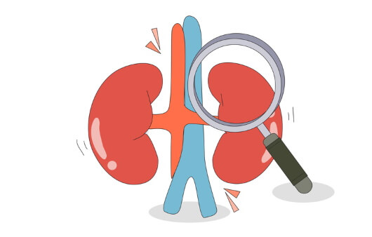 신장에 좋은 음식