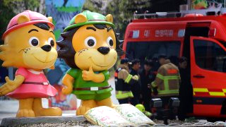 늑구 포획 현상금 청주 암컷 AI사진 총정리