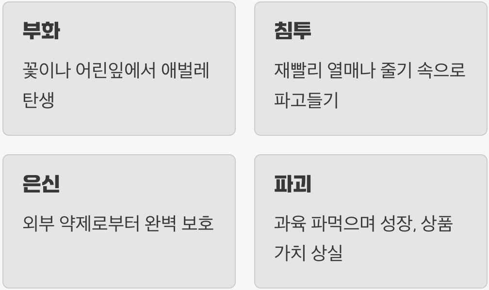 열매 속을 파고드는 교활한 습성