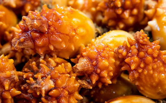 멍게의 특징과 영양소, 효능과 섭취 시 주의사항 관련 사진