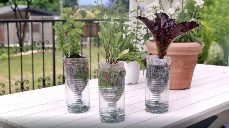 자동급수 화분 선택 물탱크관리 여행중건조 예방 쉬운 사용법_1