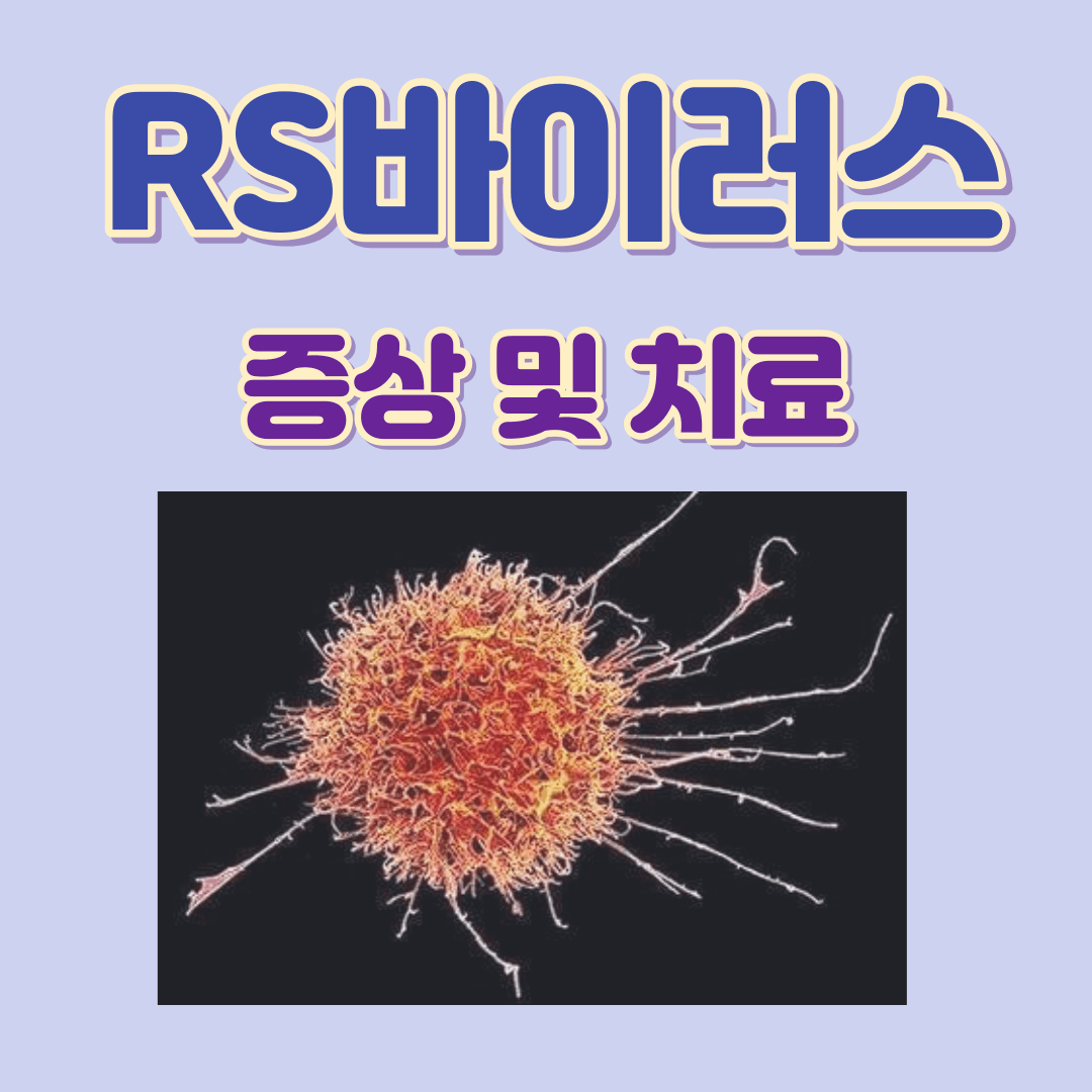 RS바이러스