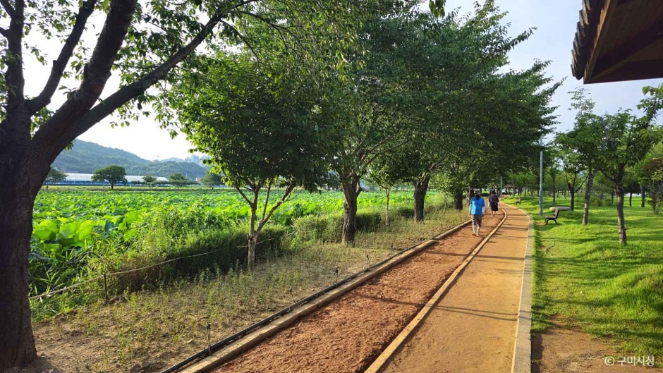 구미 가볼만한곳 베스트10