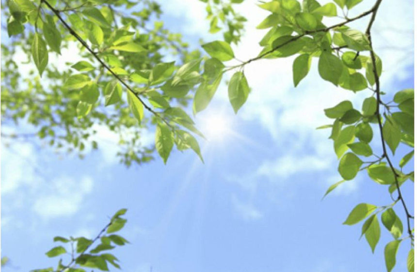 계절의 변화를 세분화한 24 절기 중 '입하' 이해하기