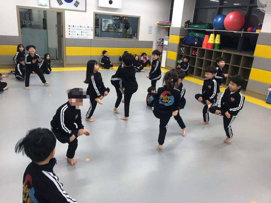 용인대석사태권도