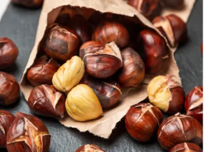 가을 제철음식 밤 효능과 영양성분