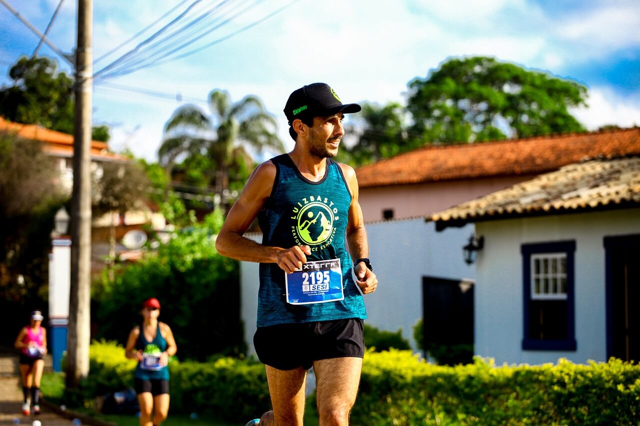 태백 트레일: 자연과 도전의 완벽한 조합- 태백산과 운탄고도의 매력 속으로