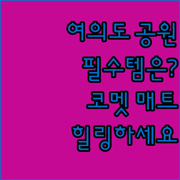 여의도 공원 나들이 필수템, 코멧 엠..