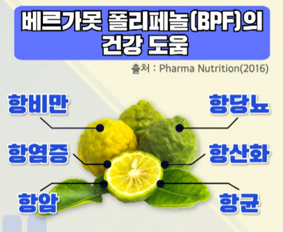 베르가못폴리페놀