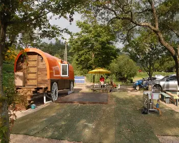 태백 해바라기 축제_26