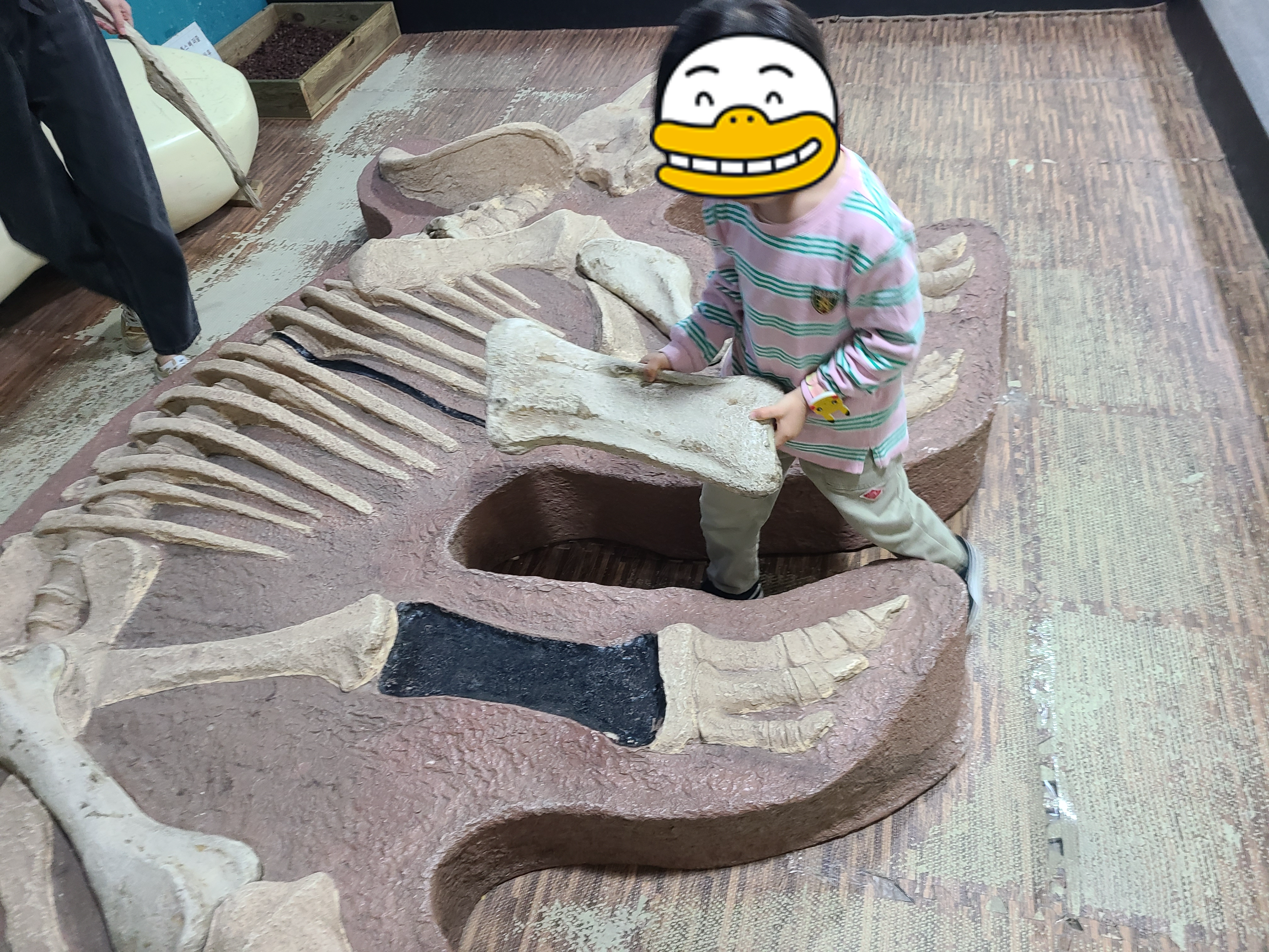 파주 공룡 박물관 공룡뼈 맞추기 체험