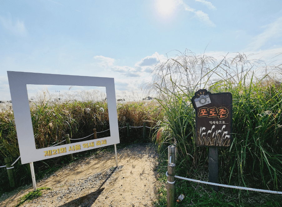 서울-하늘공원-억새축제-가는길.주차.일정안내-사진명소-사진맛집-총정리