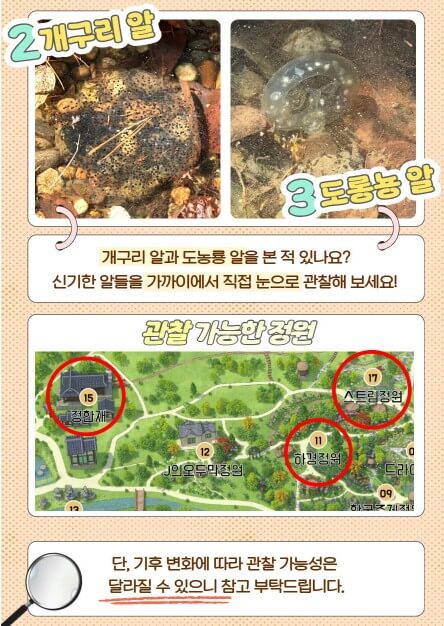 2025 봄꽃페스타: 아침고요수목원에서 만나는 봄의 향연!