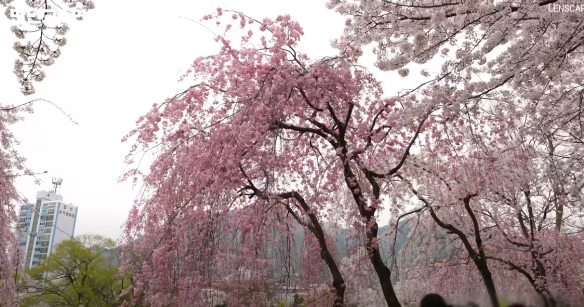 남도 여행지