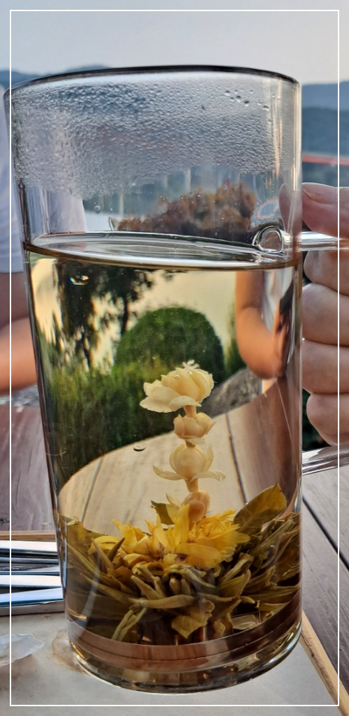 꽃피는-화차-국화-자스민