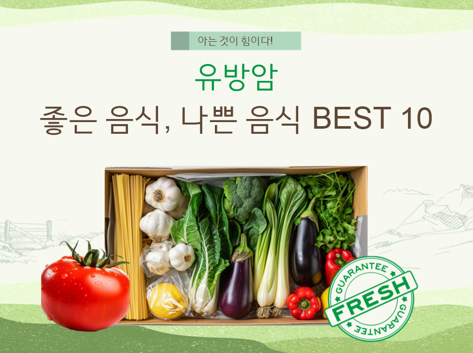 한국인 암 5위 '유방암'에 좋은 음식, 나쁜 음식 BEST 10