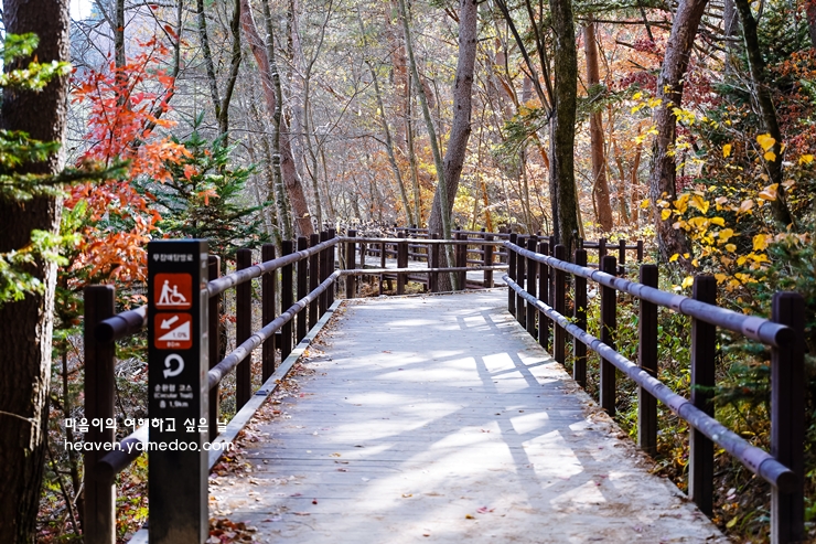 평창 가볼만한곳