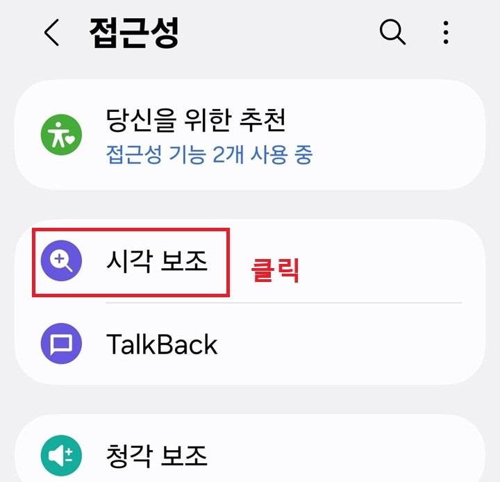접근성 페이지에 시각 보조 메뉴 보임