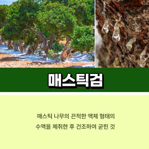매스틱검