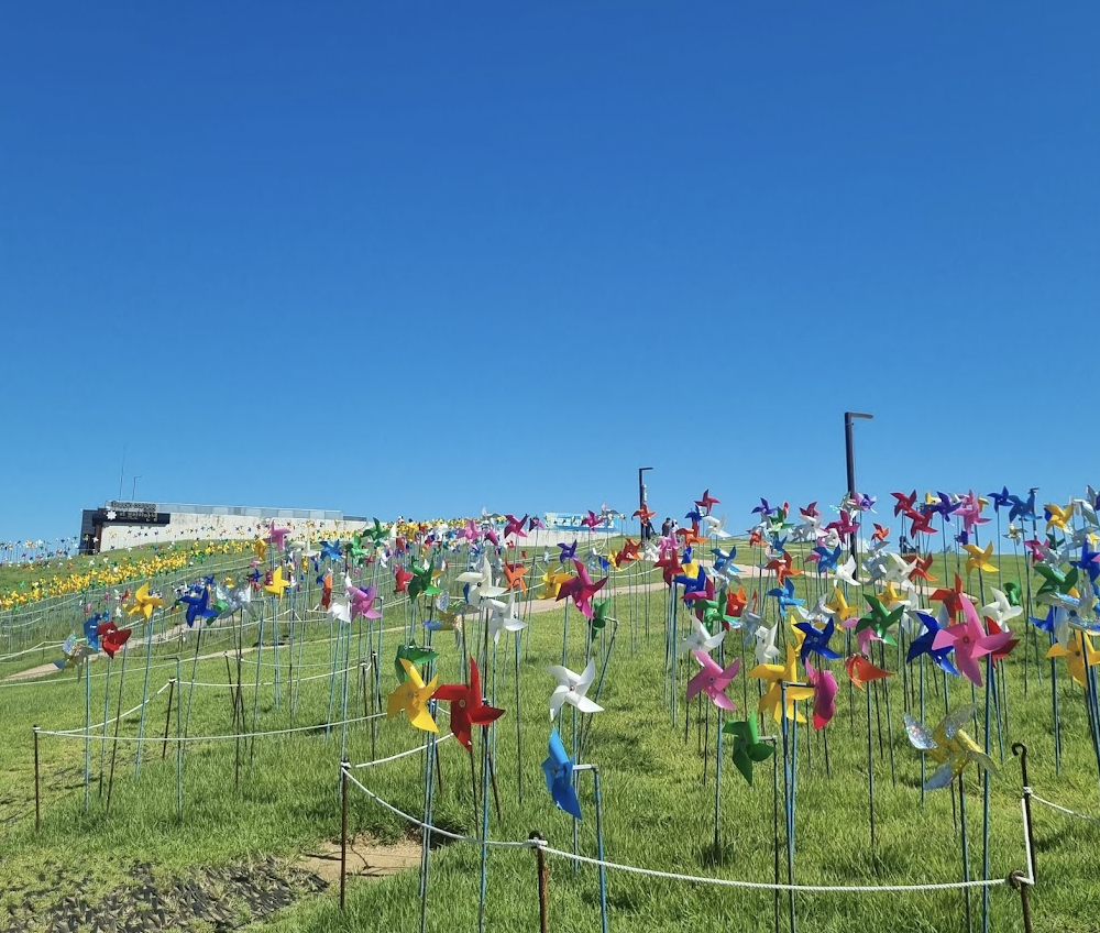 임진각 평화누리공원 방문