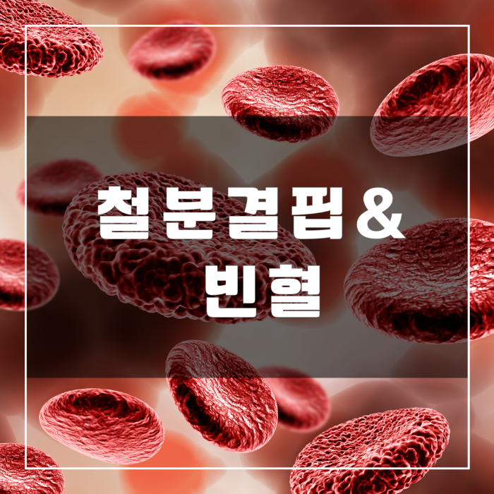 철분결핍과 빈혈