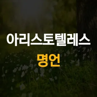 인내는 쓰지만 그 열매는 달다 아리스토텔레스 명언 해석과 교훈_17