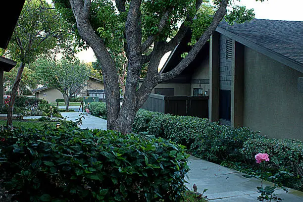 노인심리상담사 자격증 취득방법