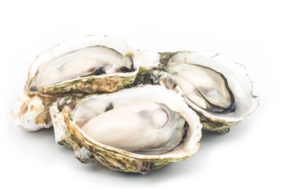 굴 효능 부작용