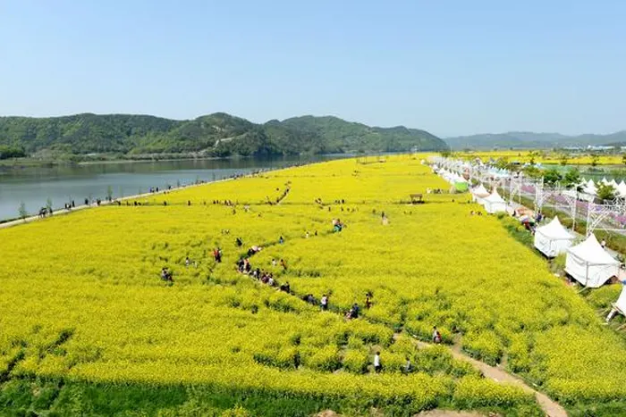 남지 체육공원 전경 이미지