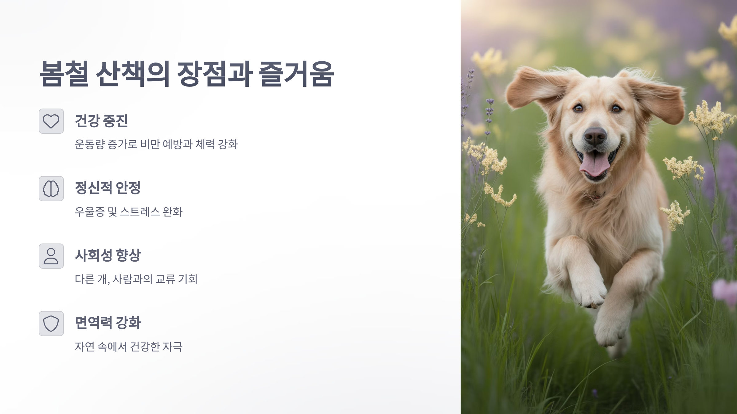 참조-반려견과-봄-산책시-주의사항-2