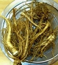 당귀 효능 부작용 뿌리 고르는법