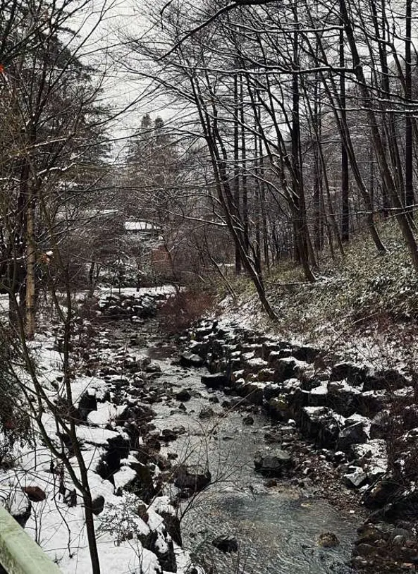 덕유산자연휴양림