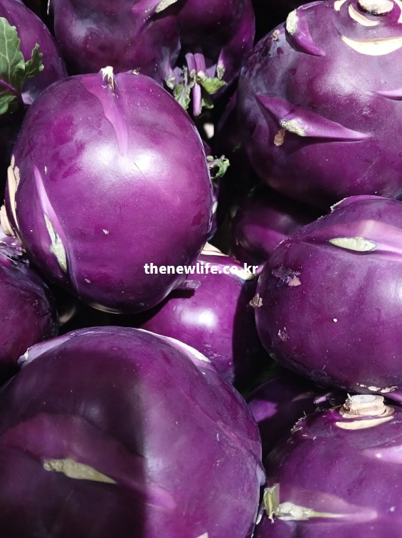 시장에 유통되는 피부 미용에 좋은 보라색 콜라비 실물 디테일