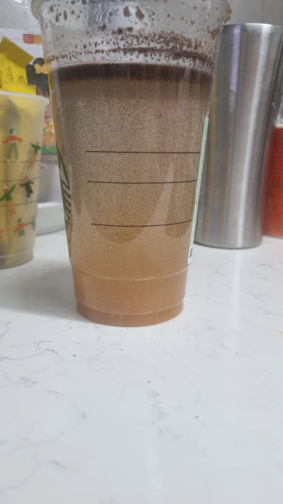 브라인쉬림프 에그 부화기 급여 및 보관 방법 가격 후기