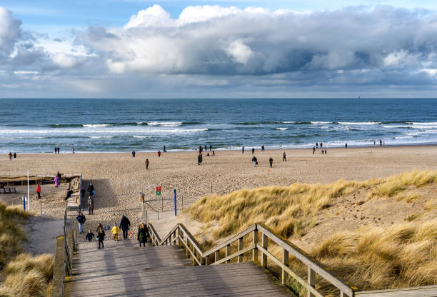 헤이그 바다 사진
