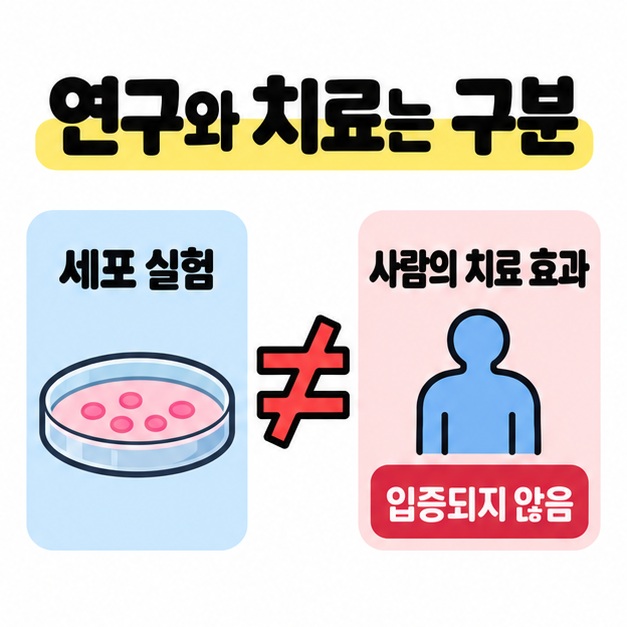 세포 실험 결과와 사람의 섭취 효과를 구분하고 치료 효과가 입증되지 않았음을 보여주는 비교 도식