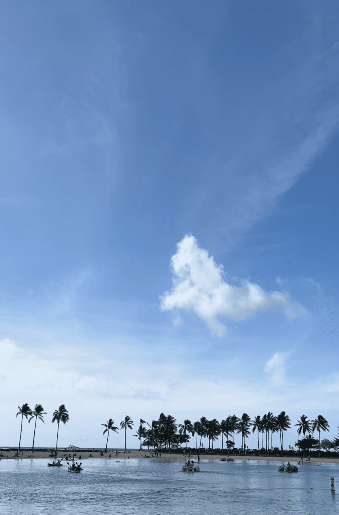 크리스마스-하와이여행-힐튼-와이키키