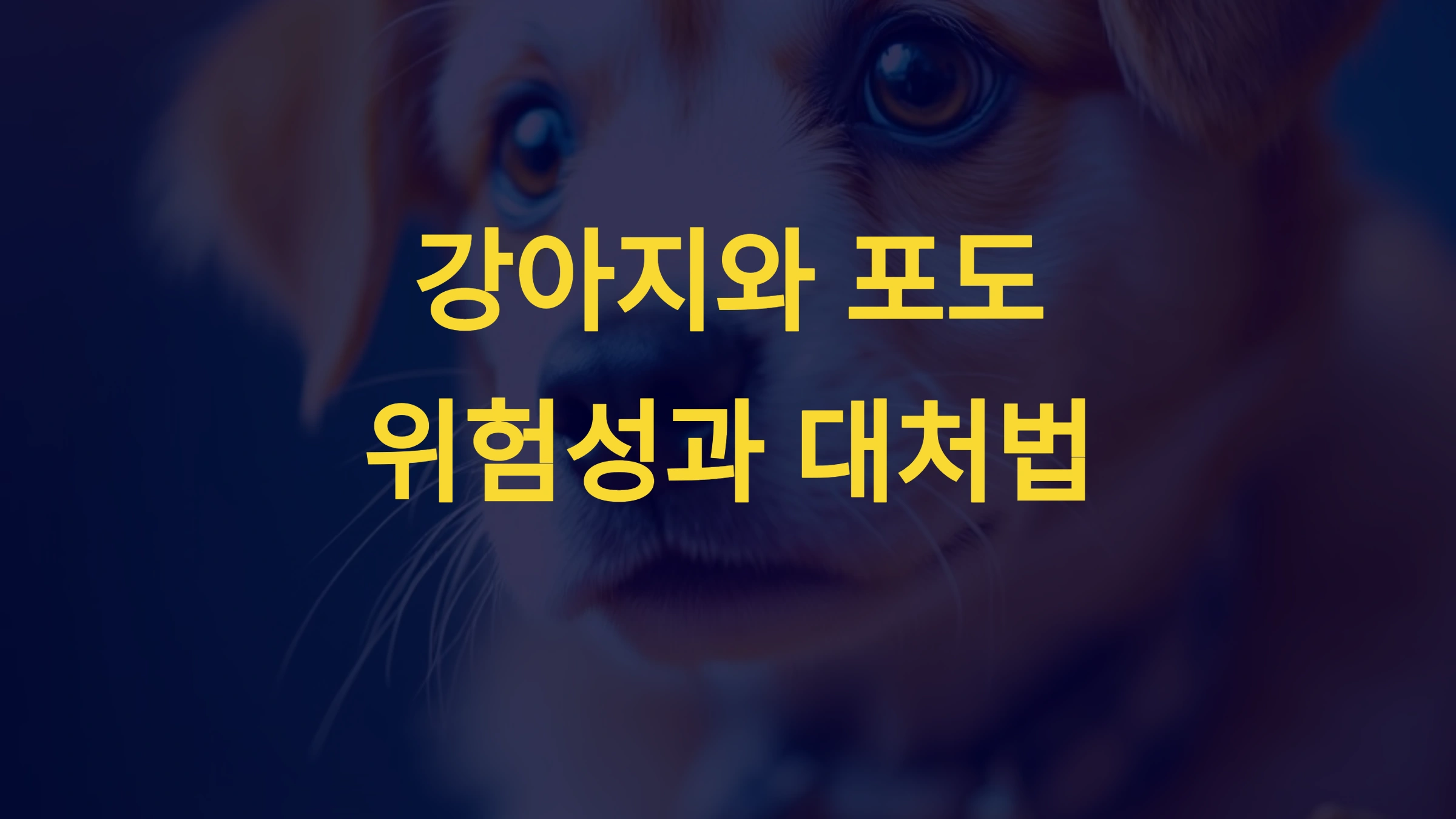 강아지가 포도를 먹었을 때 생기는 증상과 대처법