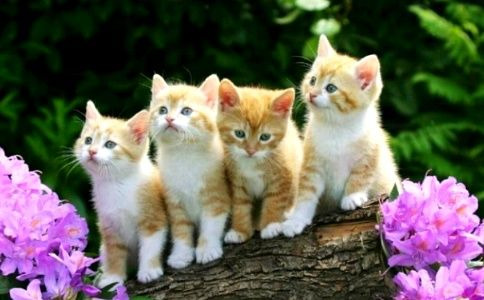 실거주확인강화