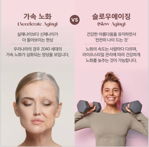 피부 노화 감속