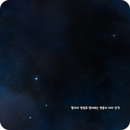 생일 별자리로 알아보는 쌍둥이자리 성격